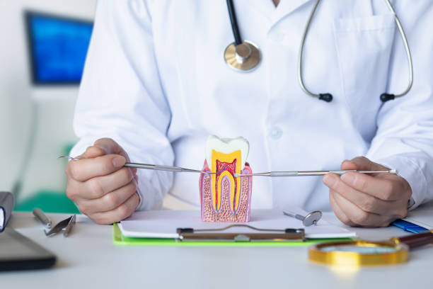 Best Emergency Root Canal Treatment in North Lindenhurst, NY